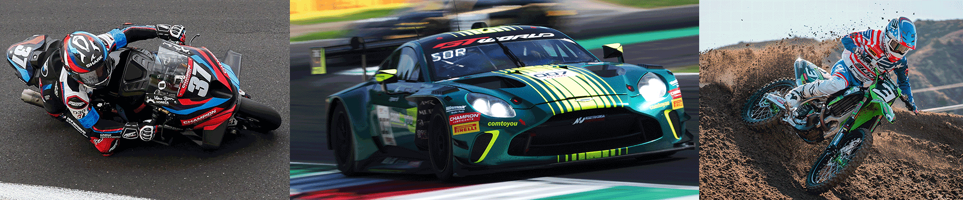 Header_Partner_Champion