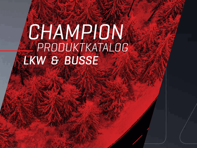 LKW & Busse